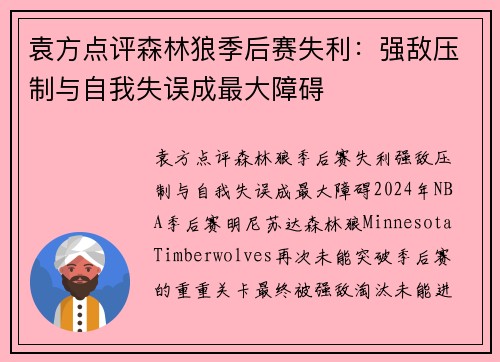 袁方点评森林狼季后赛失利：强敌压制与自我失误成最大障碍