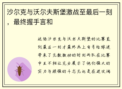沙尔克与沃尔夫斯堡激战至最后一刻，最终握手言和